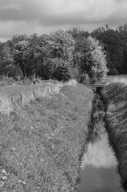 Alman Muensterland 'inde bahar geldi.