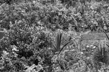 Hollanda 'da doetinchen achterhoek