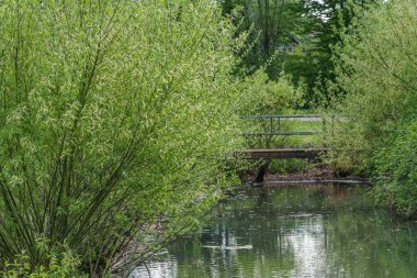 Westphalia 'da bahar mevsimi Suedlohn yakınlarında