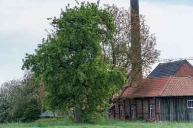 Westphalia 'da bahar mevsimi Suedlohn yakınlarında