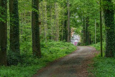 Westphalia 'da bahar mevsimi Suedlohn yakınlarında
