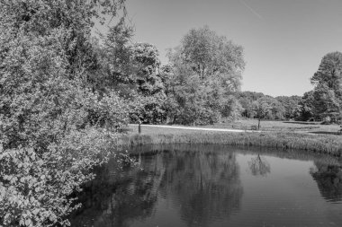 Hollanda 'da Vorden yakınlarındaki manzara.
