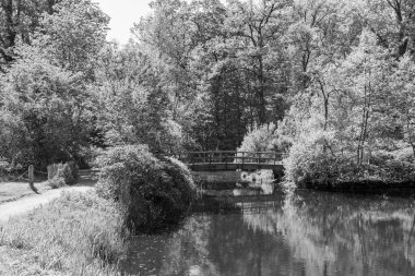 Hollanda 'da Vorden yakınlarındaki manzara.