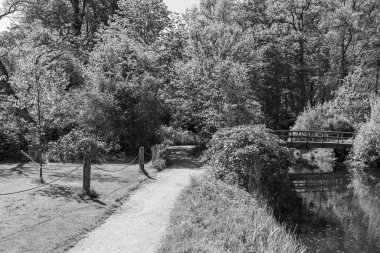 Hollanda 'da Vorden yakınlarındaki manzara.