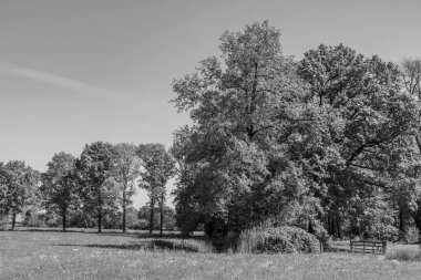 Hollanda 'da Vorden yakınlarındaki manzara.