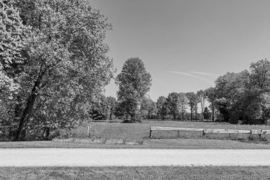Hollanda 'da Vorden yakınlarındaki manzara.