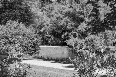 Hollanda 'da Vorden yakınlarındaki manzara.