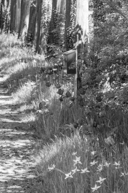 Hollanda 'da Vorden yakınlarındaki manzara.