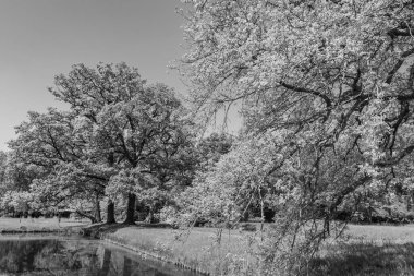 Hollanda 'da Vorden yakınlarındaki manzara.