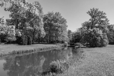 Hollanda 'da Vorden yakınlarındaki manzara.
