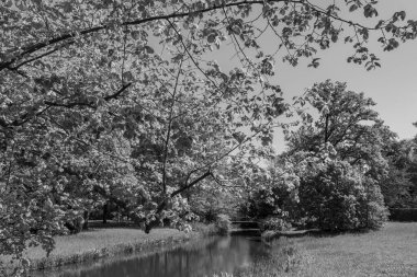 Hollanda 'da Vorden yakınlarındaki manzara.
