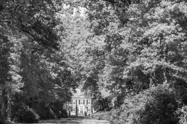 Hollanda 'da Vorden yakınlarındaki manzara.