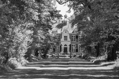 Hollanda 'da Vorden yakınlarındaki manzara.