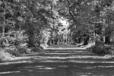 Hollanda 'da Vorden yakınlarındaki manzara.