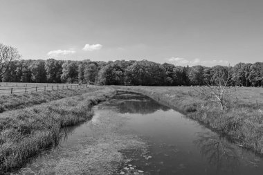 Hollanda 'da Vorden yakınlarındaki manzara.