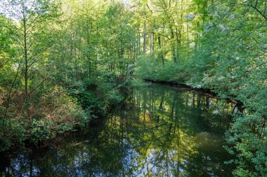 Hollanda 'da Vorden yakınlarındaki manzara.