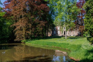 Hollanda 'da Vorden yakınlarındaki manzara.