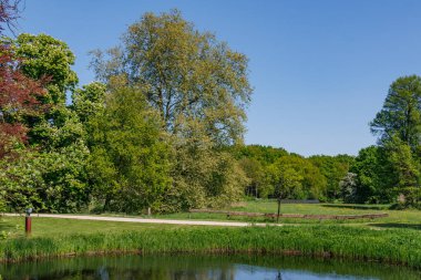 Vorden yakınlarında bahar zamanı Hollanda gelderland 'ında