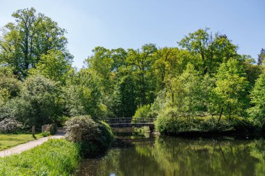 Vorden yakınlarında bahar zamanı Hollanda gelderland 'ında