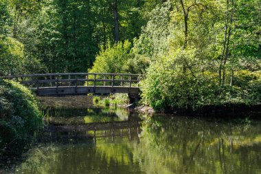 Vorden yakınlarında bahar zamanı Hollanda gelderland 'ında