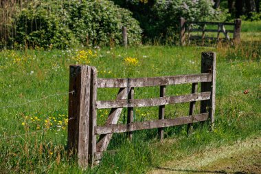 Vorden yakınlarında bahar zamanı Hollanda gelderland 'ında