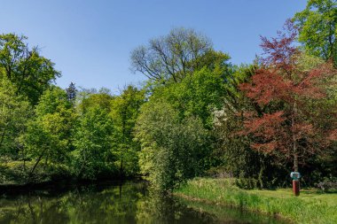 Vorden yakınlarında bahar zamanı Hollanda gelderland 'ında