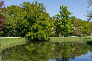 Vorden yakınlarında bahar zamanı Hollanda gelderland 'ında