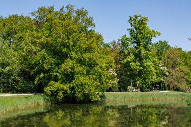 Vorden yakınlarında bahar zamanı Hollanda gelderland 'ında