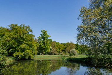 Vorden yakınlarında bahar zamanı Hollanda gelderland 'ında