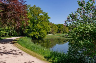 Vorden yakınlarında bahar zamanı Hollanda gelderland 'ında