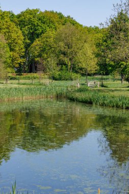 Vorden yakınlarında bahar zamanı Hollanda gelderland 'ında