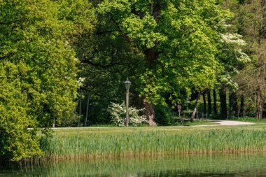 Vorden yakınlarında bahar zamanı Hollanda gelderland 'ında