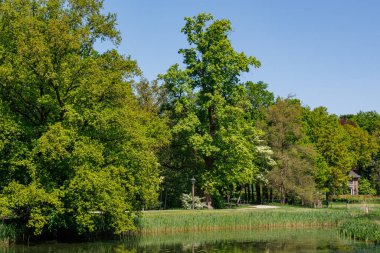 Vorden yakınlarında bahar zamanı Hollanda gelderland 'ında
