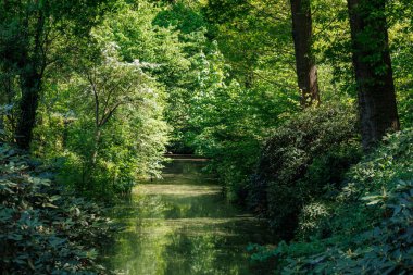 Vorden yakınlarında bahar zamanı Hollanda gelderland 'ında