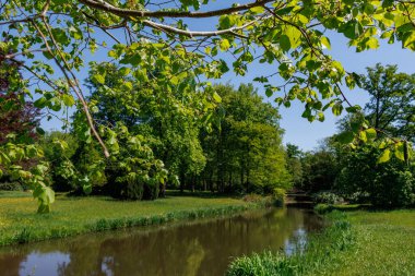 Vorden yakınlarında bahar zamanı Hollanda gelderland 'ında