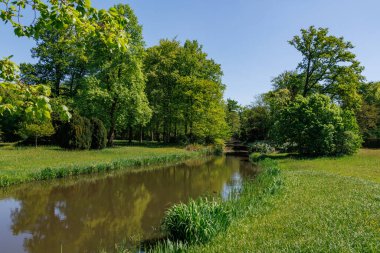 Vorden yakınlarında bahar zamanı Hollanda gelderland 'ında