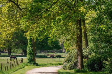 Vorden yakınlarında bahar zamanı Hollanda gelderland 'ında