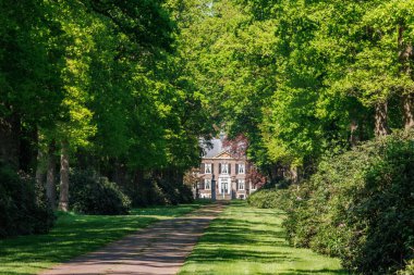 Vorden yakınlarında bahar zamanı Hollanda gelderland 'ında