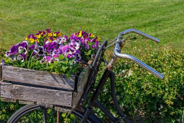 Vorden yakınlarında bahar zamanı Hollanda gelderland 'ında