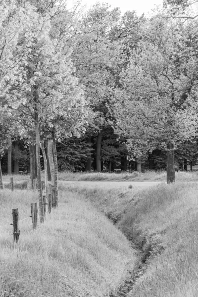 Westphalia 'da bahar mevsimi Suedlohn yakınlarında