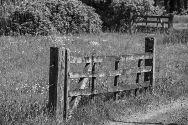 Hollanda 'da Vorden yakınlarındaki manzara.