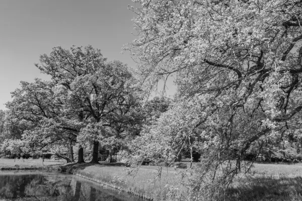 Hollanda 'da Vorden yakınlarındaki manzara.