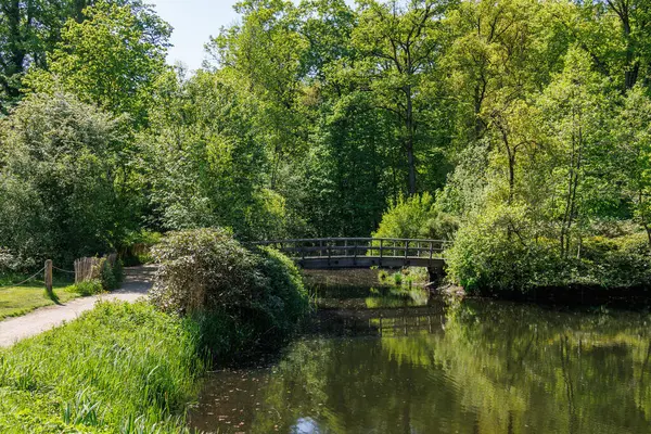 Vorden yakınlarında bahar zamanı Hollanda gelderland 'ında
