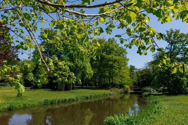 Vorden yakınlarında bahar zamanı Hollanda gelderland 'ında