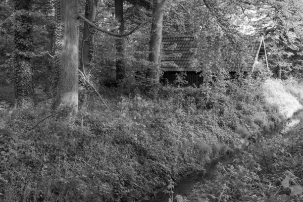 Ramsdorf yakınlarındaki Alman Muensterland 'da bahar akşamı.