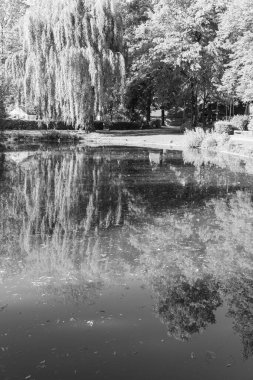 Westphalia 'daki eski çiftlik evi.