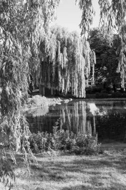 Westphalia 'daki eski çiftlik evi.