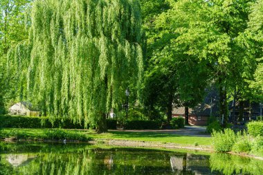 Westphalia 'daki eski çiftlik evi.
