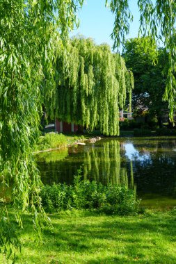 Westphalia 'daki eski çiftlik evi.