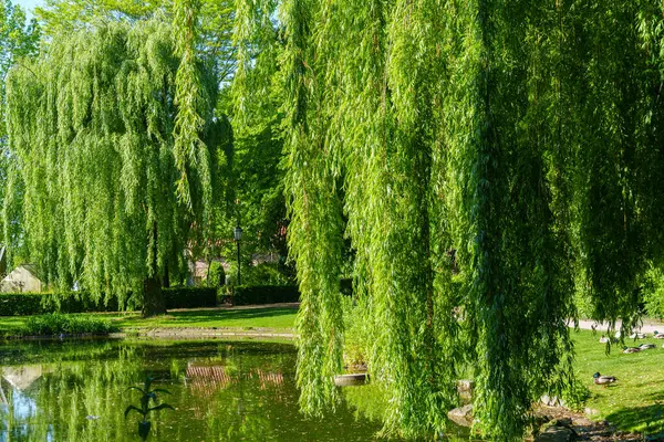 Westphalia 'daki eski çiftlik evi.